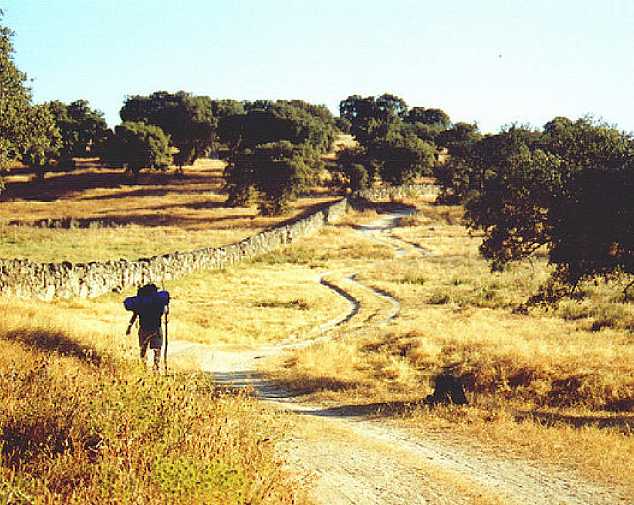 Aljucén - Alcuescar (21km)