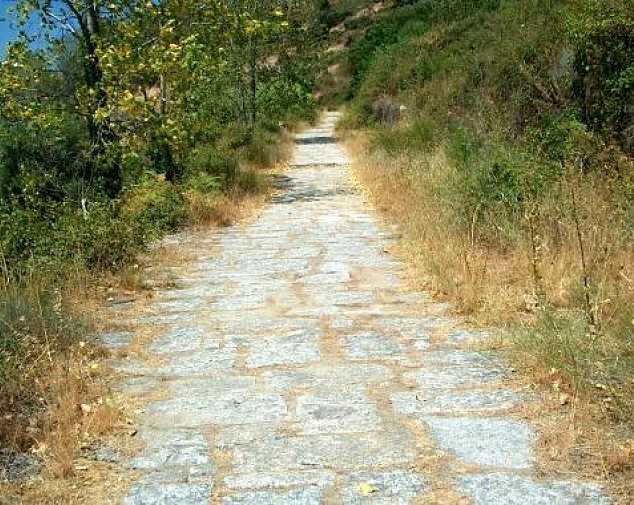 Casar de Cáceres to Garrovillas de Alconetar (22 km)