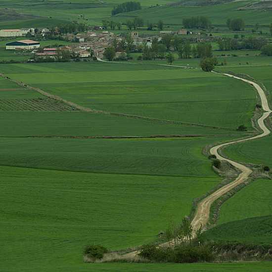 Day 2. Burgos - Hornillos del Camino (21 Km)