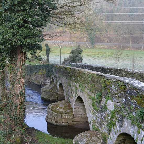 Day 3. Triacastela - Sarria (18,4 Km)