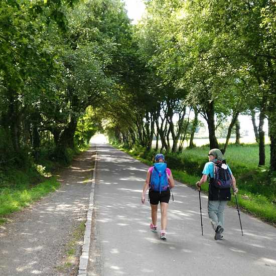 Day 5. Portomarín - Palas de Rei (24,8 Km)
