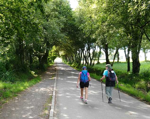 Day 5. Portomarín - Palas de Rei (24,8 Km)