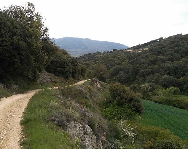 Day 5. Puente La Reina - Estella (21,6 Km)