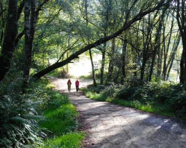 Day 5. Stage 4: Arzúa – O Pedrouzo (19 km)
