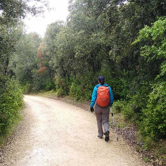 Day 6. Estella - Los Arcos (21,3 Km)