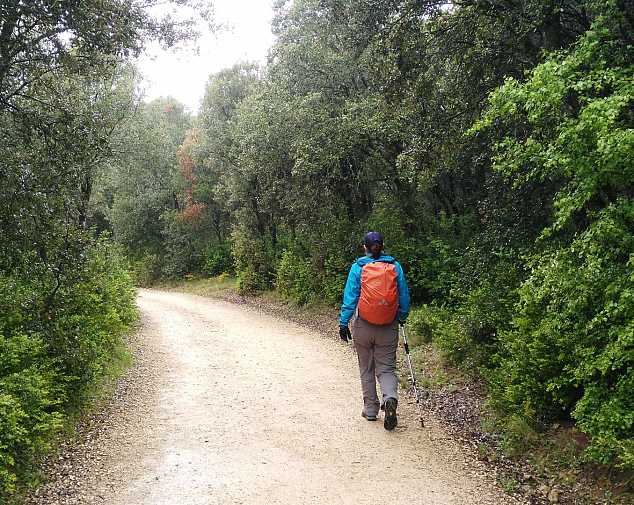Day 6. Estella - Los Arcos (21,3 Km)
