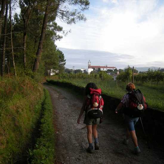 Day 7. Stage 6: Padrón – Santiago de Compostela (24,3 km)