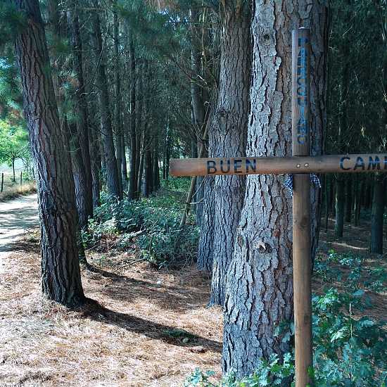 Day 8. Arzúa - Santiago de Compostela (38,7 Km)