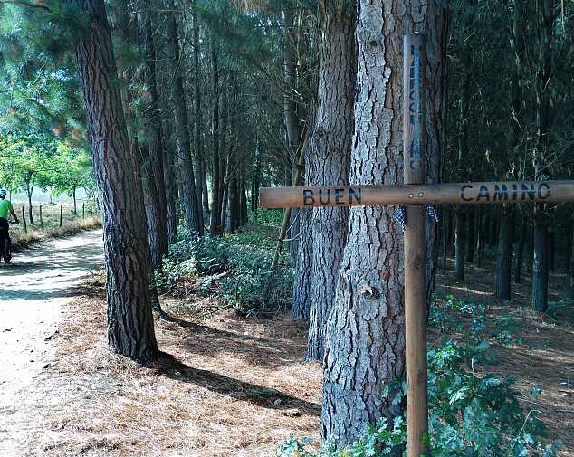 Day 8. Arzúa - Santiago de Compostela (38,7 Km)