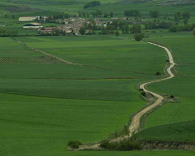 Dia 7. Atapuerca - Hornillos del Camino (40 Km)
