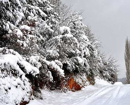 Feel the magic of Chrismas in The Way of St. James