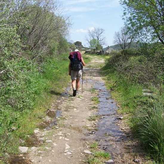 Fuenterroble de Salvatierra - San Pedro de Rozados (28Km)