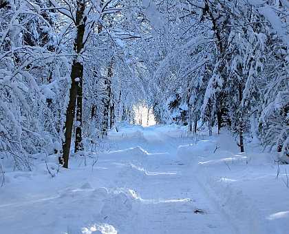 Get ready for the cold when you are packing!