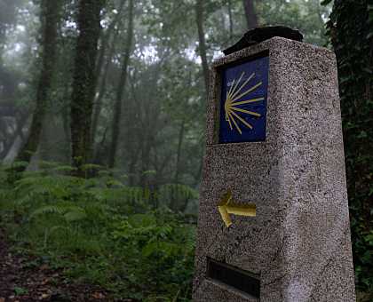 How to Get from Santiago to Sarria