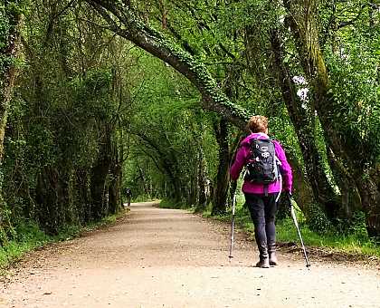 How to Walk the Camino from Tui to Santiago