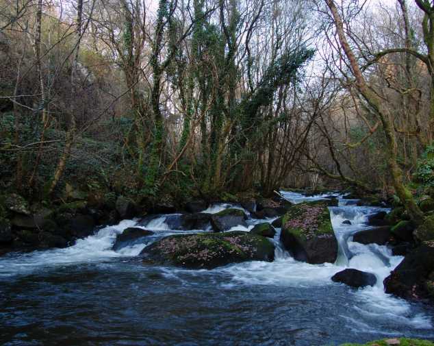León to Rabanal Del Camino (70,1 Km)