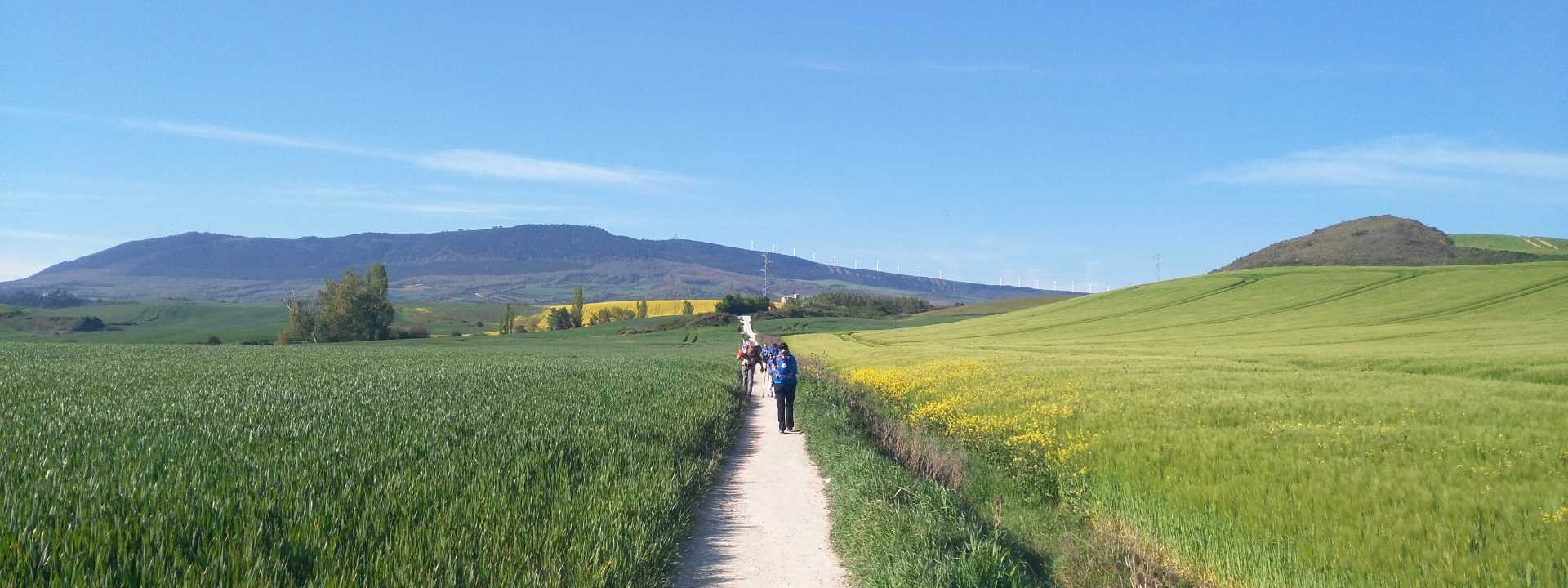 Living the Camino
