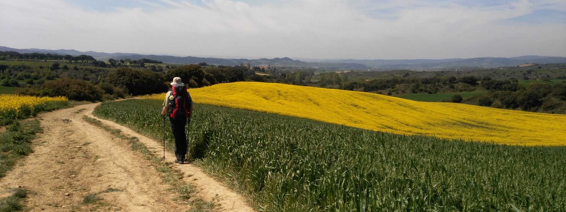 Living the Camino