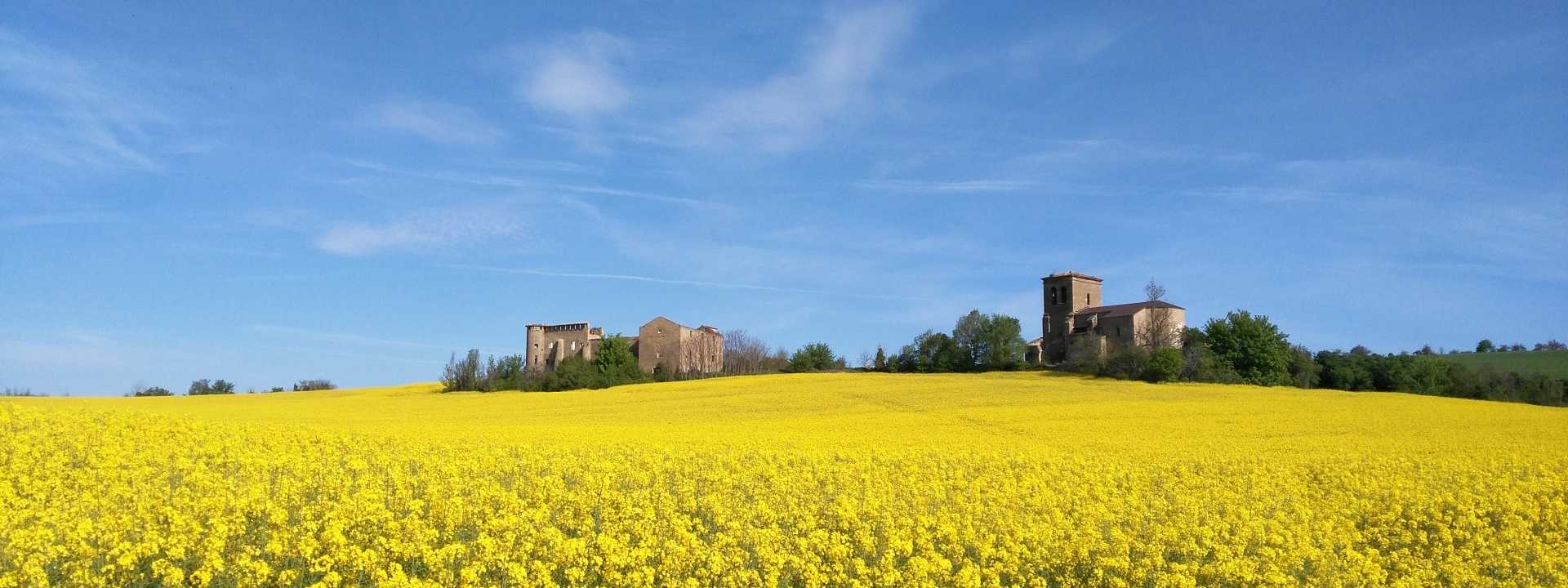 Living the Camino