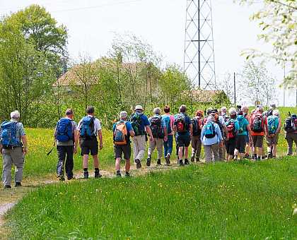 Pilgrims walking in group