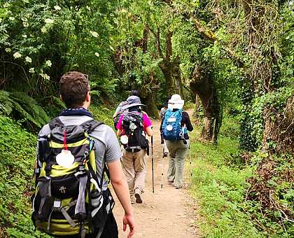 Polish Pilgrims planning their Camino de Santiago adventure