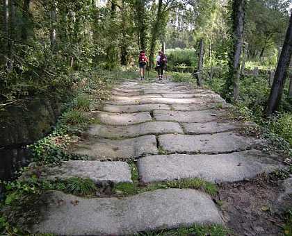 Portuguese Way