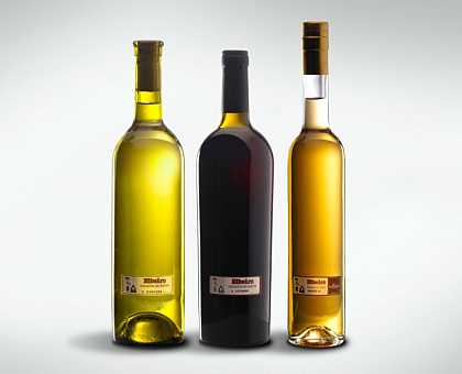 Ribera Wine