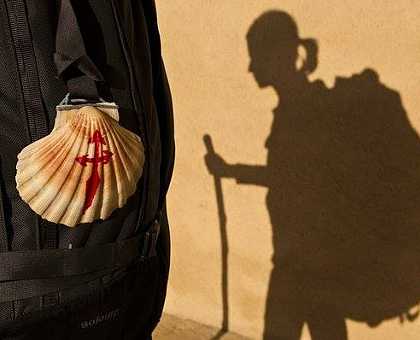 The Scallop Shell or Vieira
