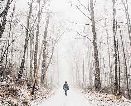The Way of St. James during winter