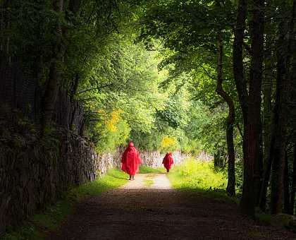 Tips for Walking the Camino de Santiago/St.James Way in the Rain