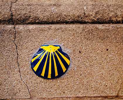 Vieira Shell, use to indicate the route of the Way of St. James